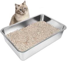 Cat Litter